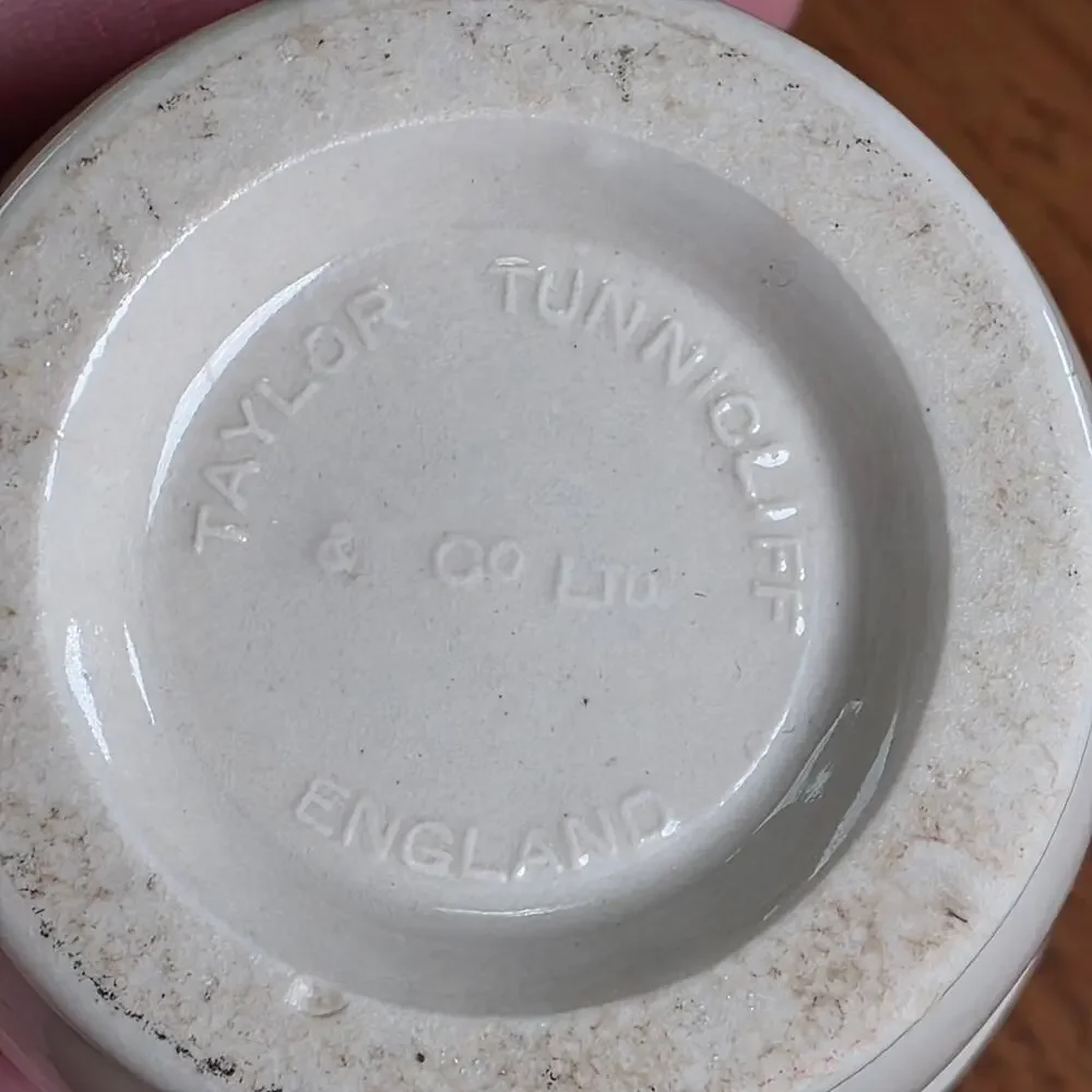 Antique Taylor Tunnicliffe Egg Coddler England Porcelain Covered Cup